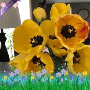 Meet your Posher, Cheryl